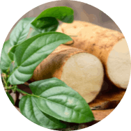 Emperor's Vigor Tonic-Wild Yam