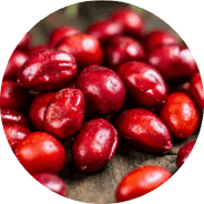 Emperor's Vigor Tonic-Shan Zhu Yu